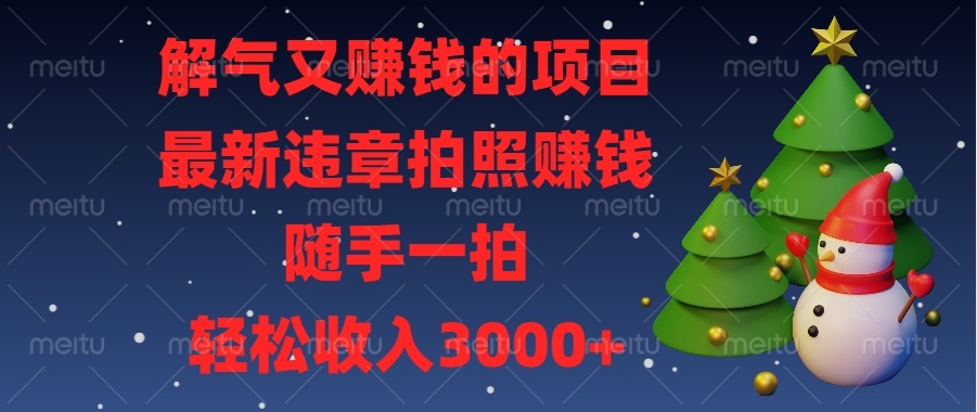 （13804期）解气又赚钱的项目，最新违章拍照赚钱，随手一拍，轻松收入3000+-生财赚 -赚钱新动力