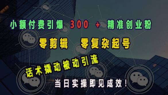 小额付费引爆 300 + 精准创业粉，零剪辑、零复杂起号，话术撬动被动引流，当日实操即见成效-生财赚 -赚钱新动力