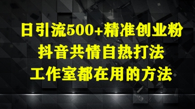 日引流500+精准创业粉，抖音共情自热打法，工作室都在用的方法-生财赚 -赚钱新动力