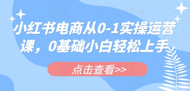 小红书电商从0-1实操运营课，0基础小白轻松上手-生财赚 -赚钱新动力