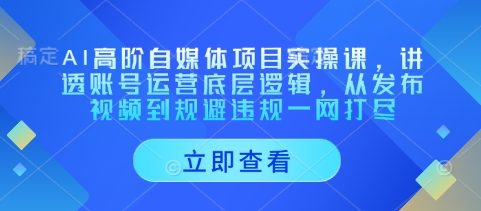 AI高阶自媒体项目实操课，讲透账号运营底层逻辑，从发布视频到规避违规一网打尽-生财赚 -赚钱新动力