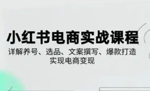 小红书从0-1实操课(2023-2025)，详解养号、选品、文案撰写、爆款打造实现电商变现-生财赚 -赚钱新动力
