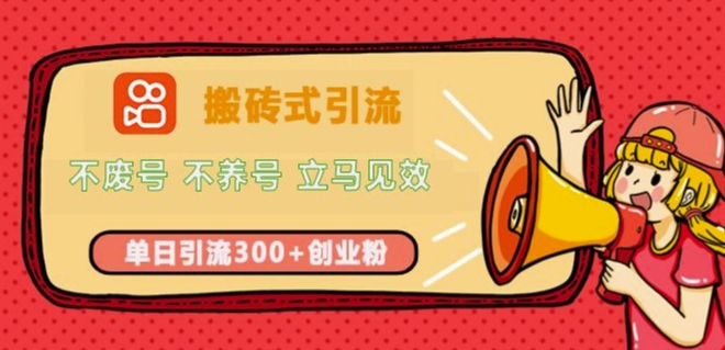 快手搬砖式引流，不废号，不养号，立马见效，单日引流300+精准创业粉-生财赚 -赚钱新动力