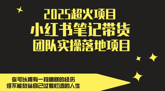2025超火项目，副业最佳选择，小红书笔记带货团队实操落地项目，，轻松日入5张-生财赚 -赚钱新动力