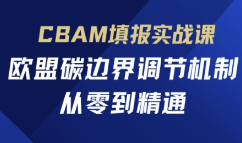 CBAM填报实战课，欧盟碳边界调节机制，从零到精通-生财赚 -赚钱新动力