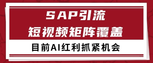 小红书某音sap赛道引流获客 自热矩阵日引200+【揭秘】-生财赚 -赚钱新动力
