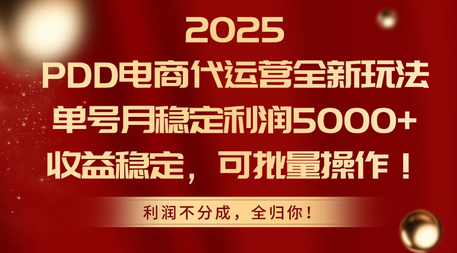 （14839期）2025PDD电商代运营全新玩法，单号月稳定利润5000+，收益稳定，可批量操作-生财赚 -赚钱新动力