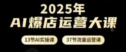 2025年AI爆店运营大课，13节AI实操课+37节流量运营课-生财赚 -赚钱新动力