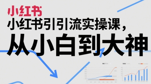 小红书引流实操课，从小白到大神-生财赚 -赚钱新动力