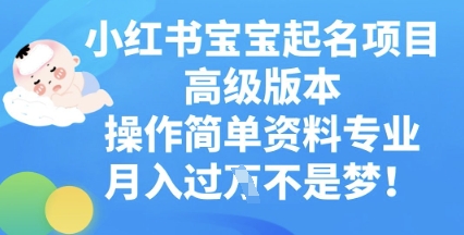 小红书宝宝起名项目高级版本，操作简单，资料专业，月入过W-生财赚 -赚钱新动力