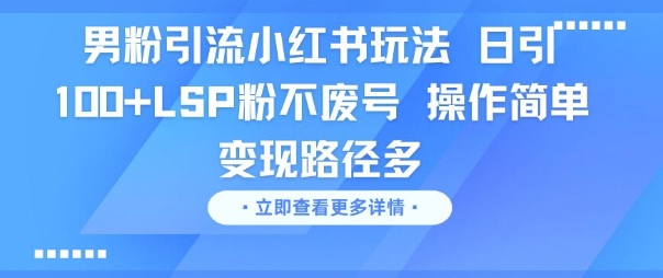 男粉引流小红书玩法，日引100+LSP粉不废号，操作简单，变现路径多-生财赚 -赚钱新动力