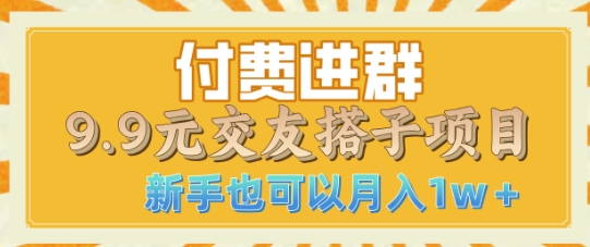 付费进群9.9交友搭子项目，熟练可矩阵操作，月收益过W-生财赚 -赚钱新动力