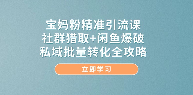 （14820期）宝妈粉精准引流课，社群猎取+闲鱼爆破，私域批量转化全攻略-生财赚 -赚钱新动力