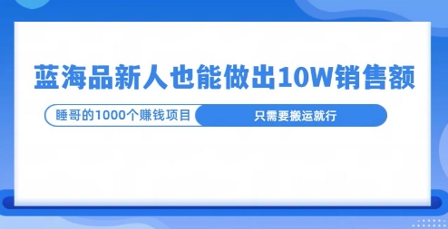 这个蓝海品，新号也能卖出10W的销售额，年底疯狂怼量就能出结果-生财赚 -赚钱新动力