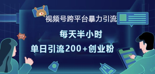 视频号跨平台暴力引流，每天半小时，单日引流200+精准创业粉-生财赚 -赚钱新动力