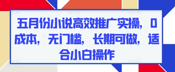 五月份小说高效推广实操，0成本，无门槛，长期可做，适合小白操作-生财赚 -赚钱新动力