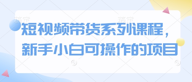 短视频带货系列课程，新手小白可操作的项目-生财赚 -赚钱新动力