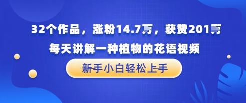 32个作品，涨粉14.7W，获赞201W，每天讲解一种植物的花语视频，无需任何技巧，新手小白轻松上手-生财赚 -赚钱新动力