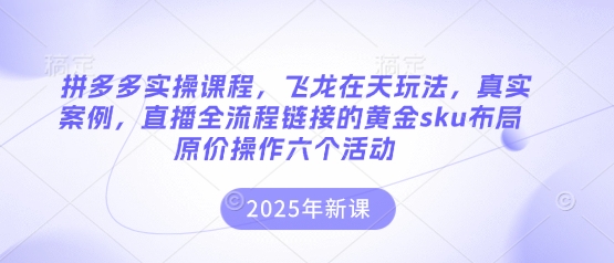 拼多多实操课程，飞龙在天玩法，真实案例，直播全流程链接的黄金sku布局原价操作六个活动-生财赚 -赚钱新动力