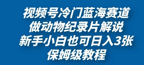 视频号冷门蓝海赛道，做动物纪录片解说，新手小白也日入3张，保姆级教程-生财赚 -赚钱新动力