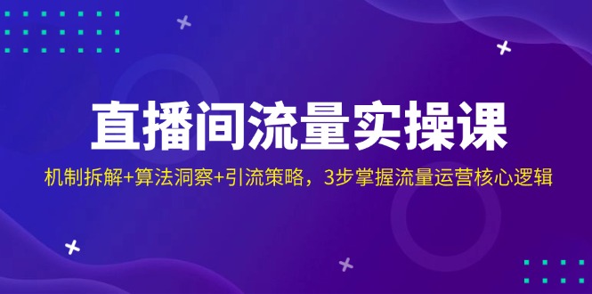 （14122期）直播间流量实操课：机制拆解+算法洞察+引流策略，3步掌握流量运营核心逻辑-生财赚 -赚钱新动力