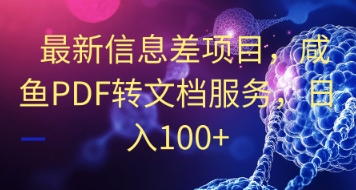 最新信息差项目，咸鱼PDF转文档服务，日入100+-生财赚 -赚钱新动力