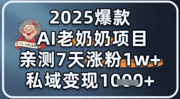 2025爆款 AI 老奶奶项目：亲测 7 天涨粉 1W+，私域变现 1k+-生财赚 -赚钱新动力