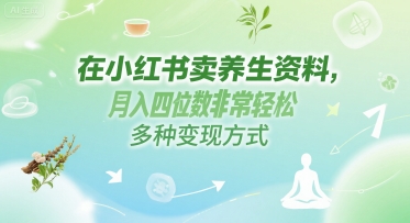 在小红书卖养生资料，月入四位数非常轻松，多种变现方式-生财赚 -赚钱新动力