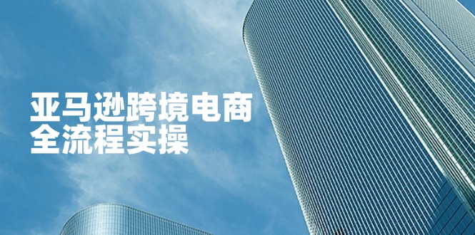 （14252期）亚马逊跨境电商全流程实操，教你从零开始，掌握店铺运营与广告技巧-生财赚 -赚钱新动力