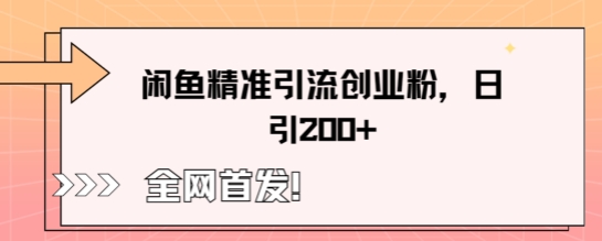 闲鱼精准引流创业粉，轻松日引200+-生财赚 -赚钱新动力