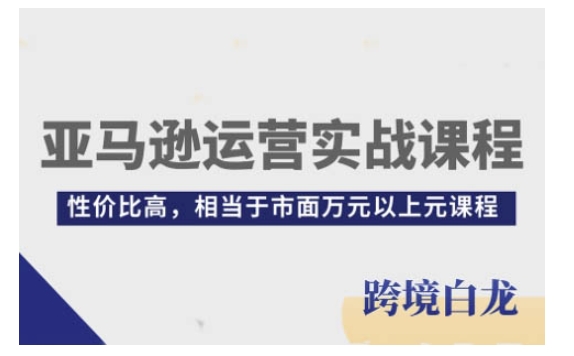 亚马逊运营实战课程，亚马逊从入门到精通，性价比高，相当于市面万元以上元课程-生财赚 -赚钱新动力