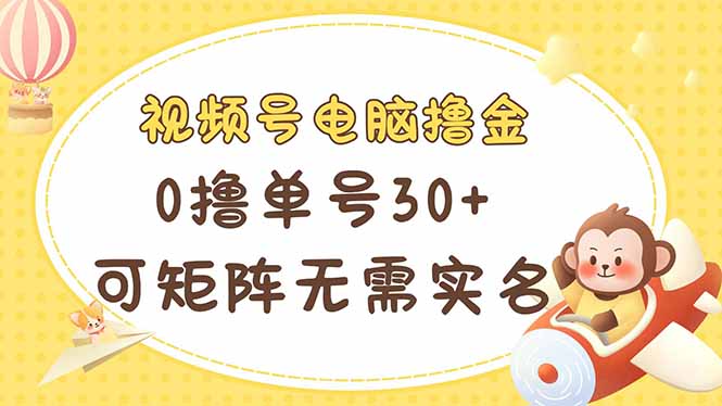 （14220期）视频号电脑撸金 0撸单号30+ 可矩阵 无需实名多号多得-生财赚 -赚钱新动力