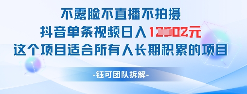 不露脸不直播不拍摄抖音单条视频日入1k+这个项目适合所有人长期积累的项目-生财赚 -赚钱新动力