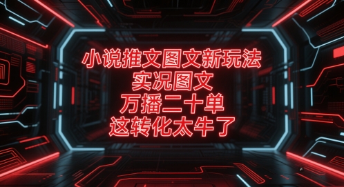 小说推文图文新玩法，实况图文，万播二十单，这转化太牛了！-生财赚 -赚钱新动力