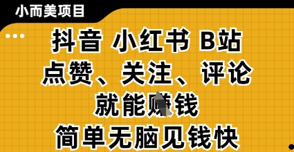 小而美的项目，抖音小红书B站视频点赞、关注、评论就能挣钱，简单无脑立见收益，妥妥的零撸项目【揭秘】-生财赚 -赚钱新动力