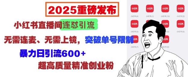 2025重磅发布：小红书直播间连怼引流，无需连麦、无需上镜，突破单号限制，暴力日引流600+-生财赚 -赚钱新动力