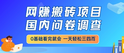 网创搬砖项目，国内问卷调查，小白轻松上手，一天三四张的也不难，干就完了【揭秘】-生财赚 -赚钱新动力
