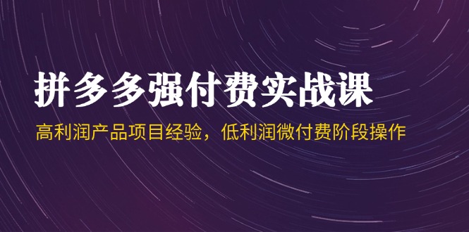 （14874期）拼多多强付费实战课-44期，高利润产品项目经验，低利润微付费阶段操作-生财赚 -赚钱新动力
