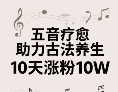 古法五音养生教程，五音疗愈的视频的制作方法，2-4小时就能学会，作者10天涨粉10W-生财赚 -赚钱新动力