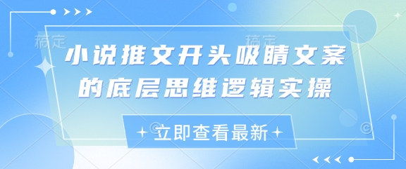 小说推文开头吸睛文案的底层思维逻辑实操-生财赚 -赚钱新动力