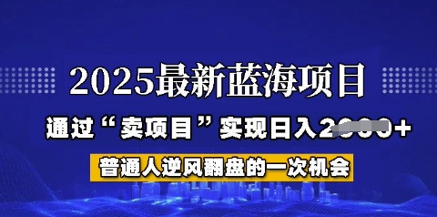 2025年首次揭秘如何通过“网创项目”日入多张【揭秘】-生财赚 -赚钱新动力