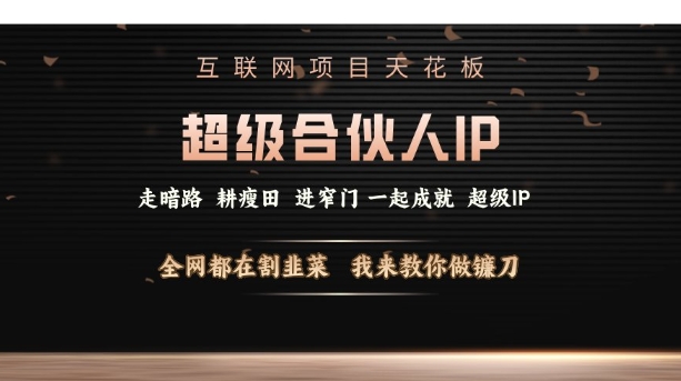 互联网项目天花板，超级合伙人IP，全网都在割韭菜，我来教你做镰刀【仅揭秘】-生财赚 -赚钱新动力