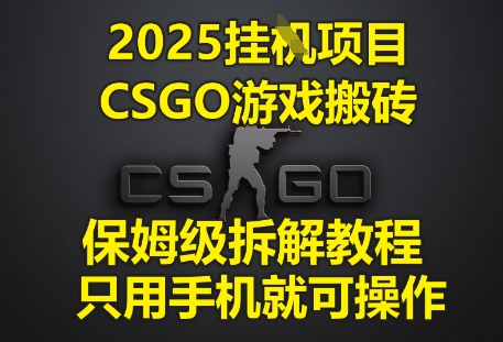 2025挂G项目，CSGO游戏搬砖，保姆级拆解教程，只用手机就可操作【揭秘】-生财赚 -赚钱新动力