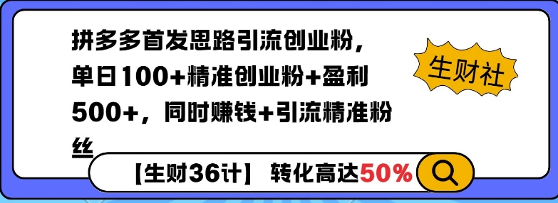 拼多多无敌思路引流创业粉，无脑矩阵开店，同时挣钱+引流精准粉丝-生财赚 -赚钱新动力