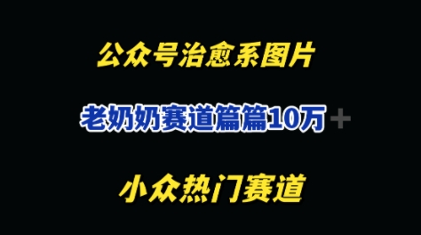 公众号老奶奶治愈系流量主，篇篇10W+-生财赚 -赚钱新动力