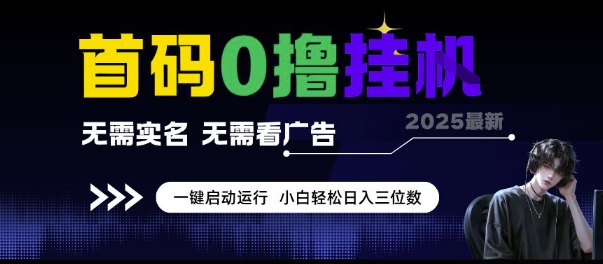 首码0撸挂G项目，无需实名无需看广告 一键启动运行，小白轻松日入三位数【揭秘】-生财赚 -赚钱新动力