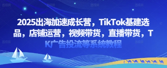 2025出海加速成长营，TikTok基建选品，店铺运营，视频带货，直播带货，TK广告投流等系统教程-生财赚 -赚钱新动力