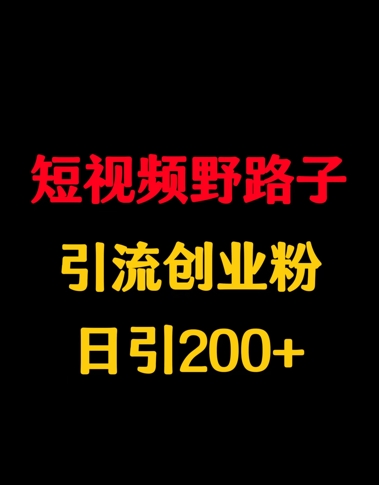 短视频野路子引流创业粉，日引200+-生财赚 -赚钱新动力