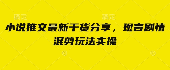 小说推文最新干货分享，现言剧情混剪玩法实操-生财赚 -赚钱新动力