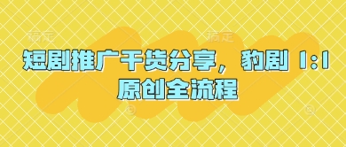短剧推广干货分享，豹剧 1:1原创全流程-生财赚 -赚钱新动力